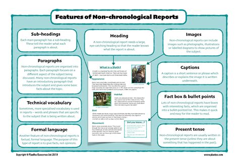 Sample Of Non Chronological Report On Animals