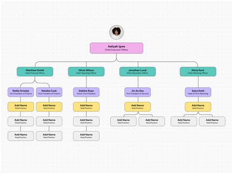 sample organizational chart cmaa