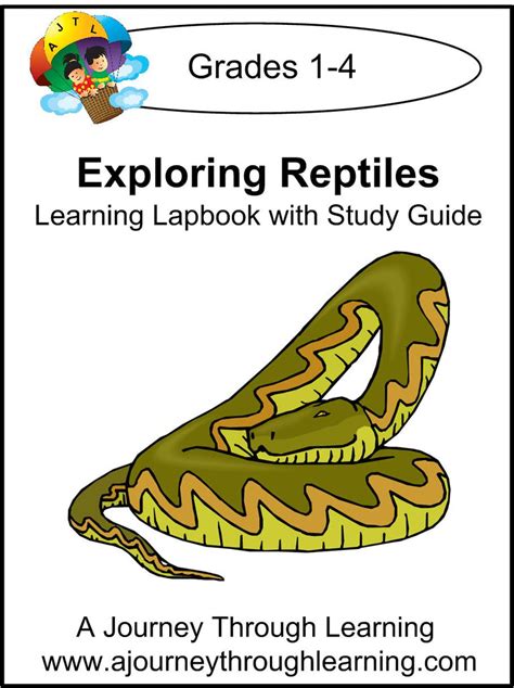 Sample Page Reptiles Learning Lapbook With Study Guide Reptiles Worksheets For Kindergarten - Reptiles Worksheets For Kindergarten