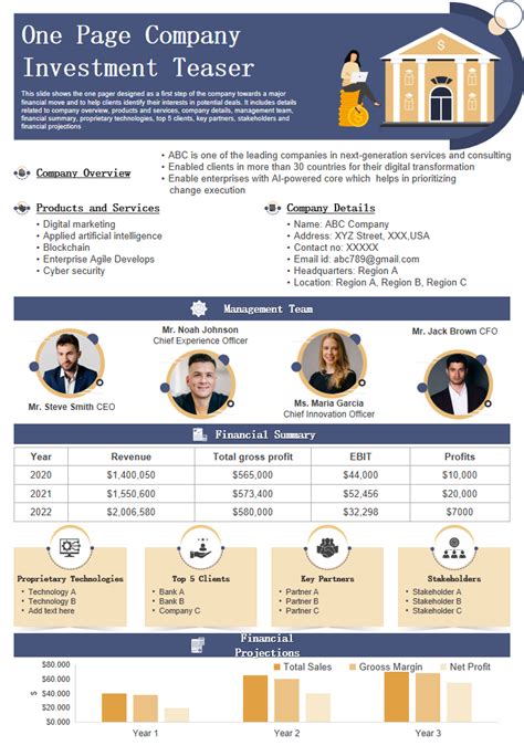 Sample Private Equity Fund Teaser