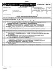 Sample Va Nurse Ii Proficiency Report