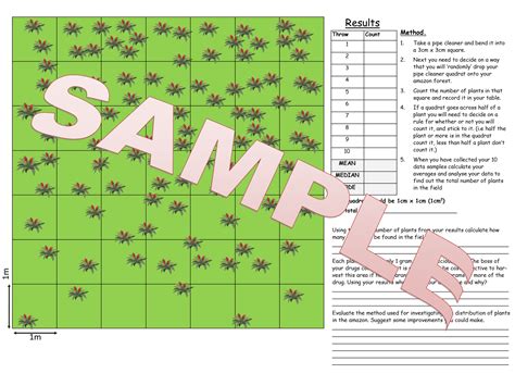 Sampling Maths Sandpit Quadrat Sampling Worksheet Answers - Quadrat Sampling Worksheet Answers