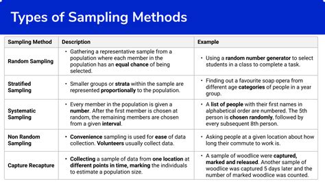 Download Sampling Methods Questions And Answers 