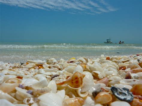 sanibel shells florida