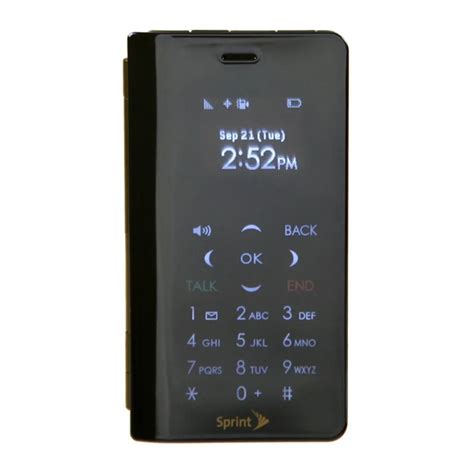 Full Download Sanyo Innuendo Basic Guide 