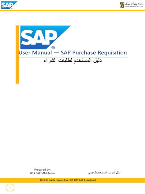Sap Audit User Manual