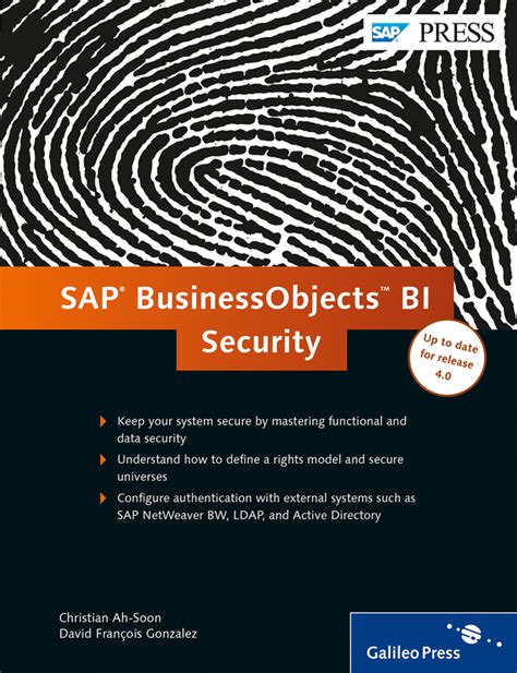 sap businessobjects bi security pdf