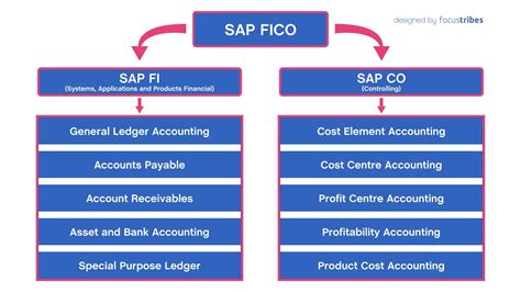 Sap Fico Module