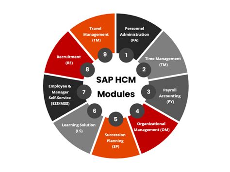 sap hcm core modules