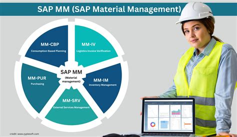 Sap Mm Material Management Complete Reference To Implementation Customization