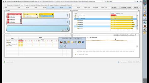 Sap Solution Manager End User Guide