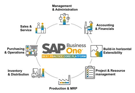 Read Online Sap Business Management Software Solutions 