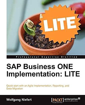 Download Sap Business One Implementation Lite Niefert Wolfgang 