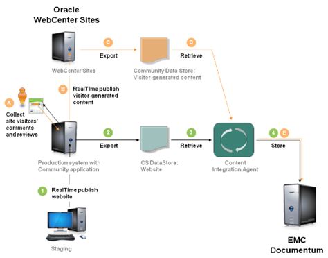 Read Sap Data Archiving Using Emc Documentum Archive Services 