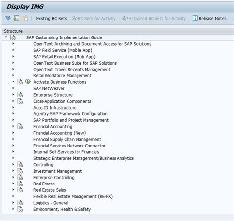 Read Sap Implementation Guide 