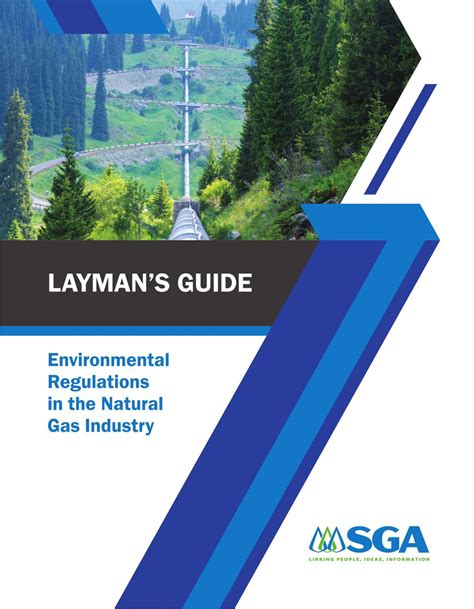 Read Sap Laymans Guide 