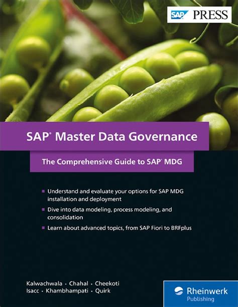 Read Online Sap Master Data Governance The Comprehensive Guide To Sap Mdg 