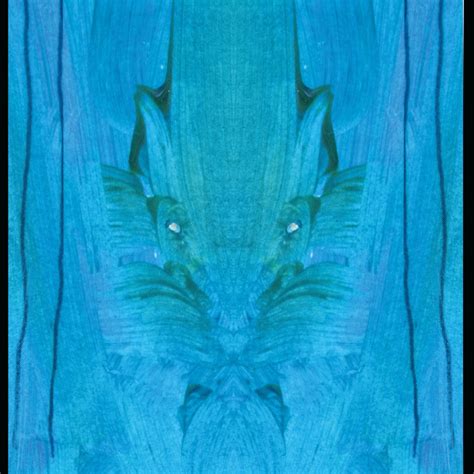 art photo by Magnolia Parker