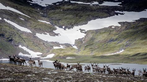 sapmi samernas land