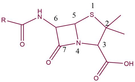 Sar Of Penicillin