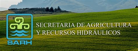 brdice: Aposte nas Melhores Apostas Desportivas Online e Fique Tranquilo com a Proteção de Fundos - Foto 2