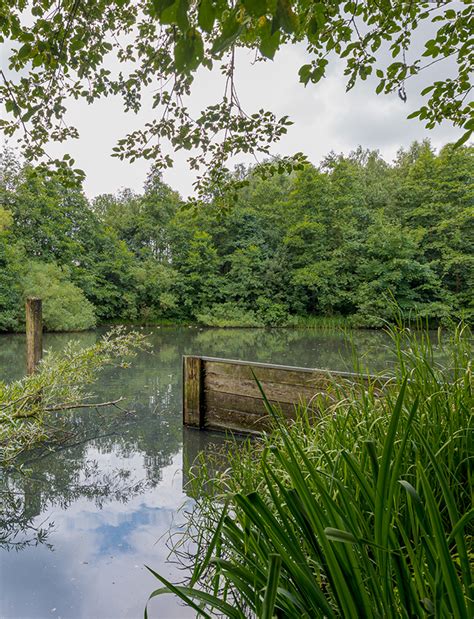 sasel partnervermittlung