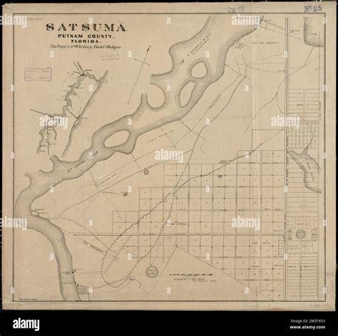 satsuma florida