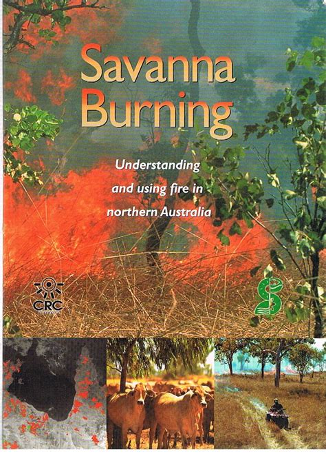 savanna burning understanding and using fire in no