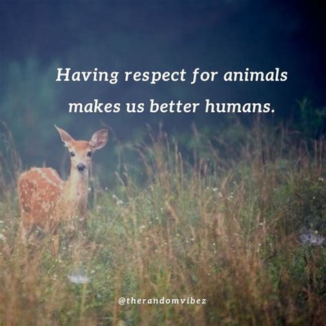 Save Animals Quotes
