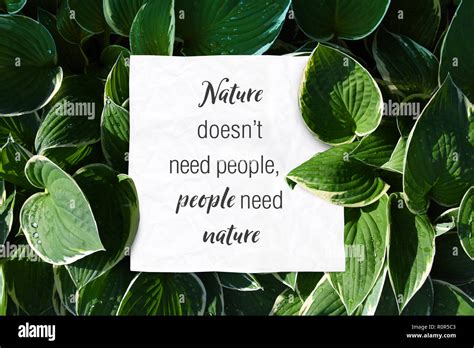 Save Nature Quotes