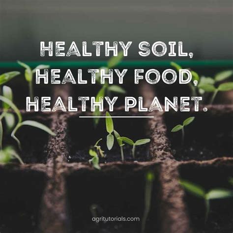 Save Soil Slogans