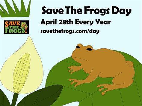 Save The Frogs Day April 28th Every Year I Saved The Day - I Saved The Day