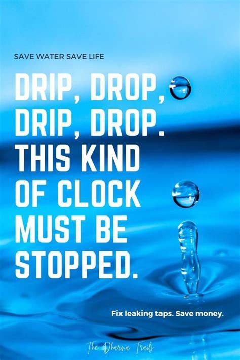 Save Water Quotes