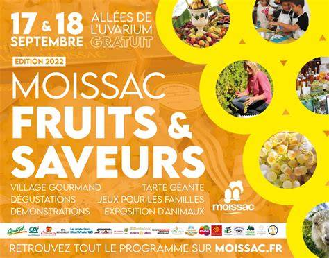 saveurs ma c tissa c es