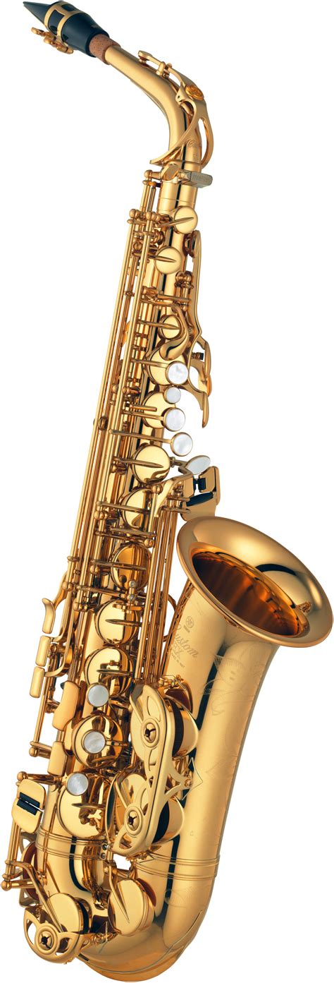 saxophone | Kn Saxophone Alto Chnh Hng Mi Nguyn