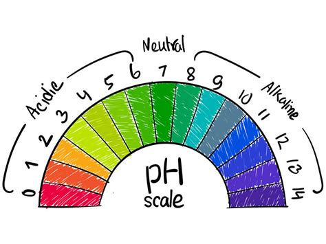 scala del ph dei capelli