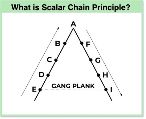 Scalar Principle
