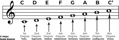 Scale Degrees Music