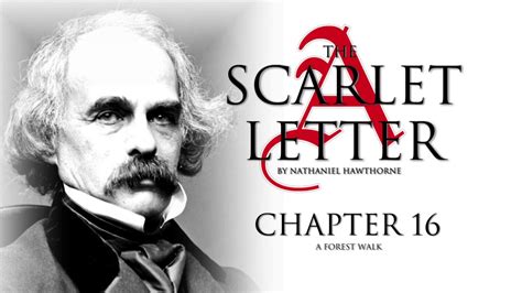 Full Download Scarlet Letter Chapter 16 Quotes 