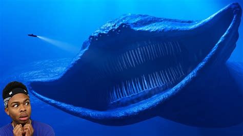 Scary Creatures Of The Deep