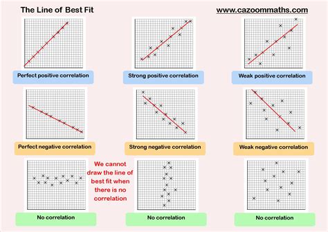 Scatter Plot Trend Line Worksheet