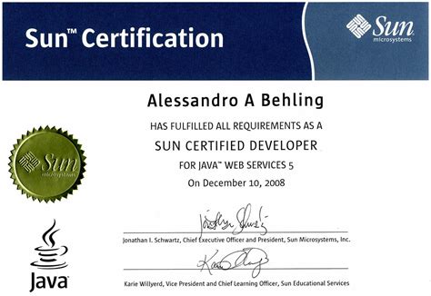 Scdjws Sun Certified Developer For Java Web Services 5 Cx 310 230 Exam Certification Exam Preparation Course In A Book For Pa William Manning