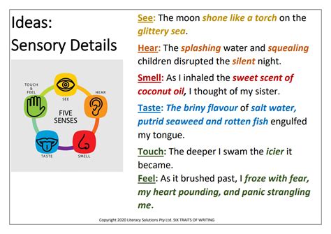 scenes using sensory details examples