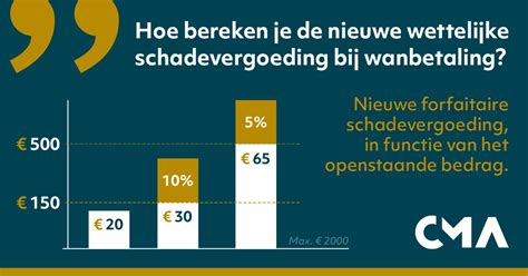schadevergoeding bedrag