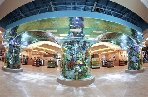 scheels springfield illinois