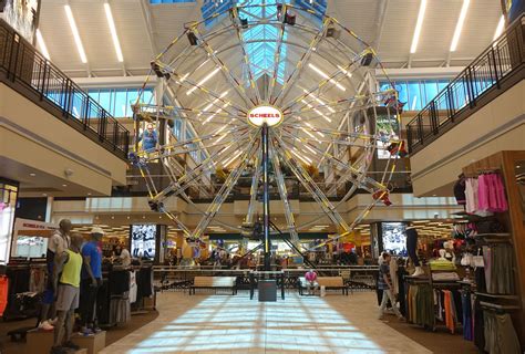 scheels texas