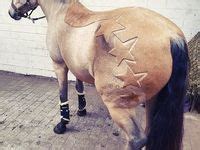 scheer patroon paard