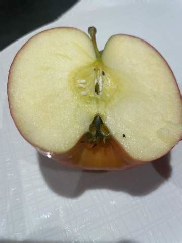 Schimmel Im Apfel