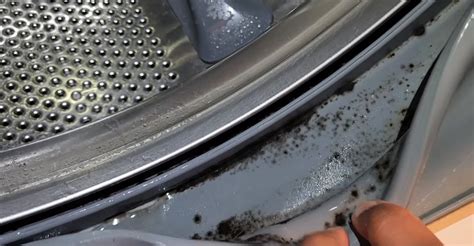 schimmel in de wasmachine