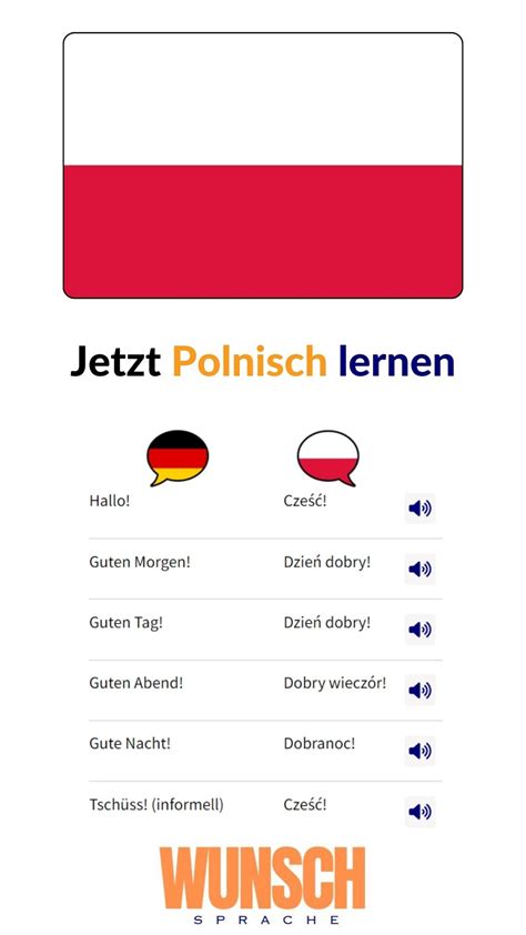Schimpfwörter Auf Polnisch